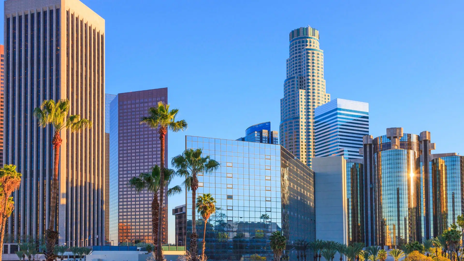 Los Angeles LA CICOR Marketing